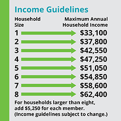 income guidelines example